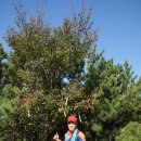 엄광산 동구경계 이미지