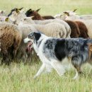 하남동물병원 이미지