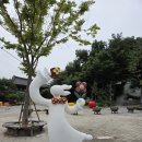 26.7.16(목)관악산 초록숲길에서 즐기는 족욕 도시락지참 이미지