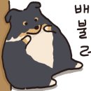 비로우