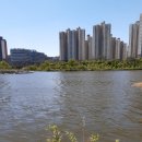 야당역공인중개사사무소 이미지