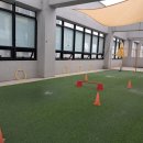 놀러오개(도화점) 이미지