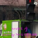 가나푸드