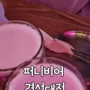 퍼니 경성대점 네이버블로그
