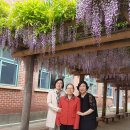 망포중학교 이미지