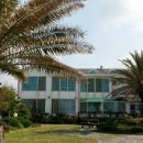 제주또올레 이미지