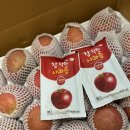 진열농장 | 애플더하기 방글이농장 데일리사과 후기