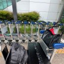 필리핀 바기오 어학연수(필리핀 어학연수 준비 및 고려할 사항 - 믿을 수 있는 유학원 선택 및 어학원...