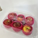 오늘의 마이핏 | 쿠팡 로켓프레시로 받은 마이핏 사과 MBTI 신선도 맛 가격 만족