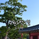 편의점사랑 행궁점 | 국내여행 첫 수원 1박2일 여행(행궁동, 인계동, 맛집, 카페)