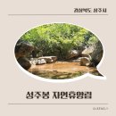 숲매점 | 상주 성주봉 자연휴양림 숲속의 집 매점 수영장 후기