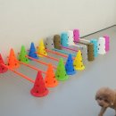 대구애견미용 강아지호텔 모여라솜뭉치 이미지