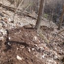 홍천팬션위드엘 이미지