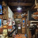 산속비버스 이미지