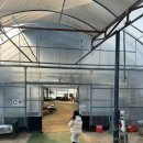 동대구농장 | 대구 아이랑 실내 먹이체험 추천 팔공산 하하농장