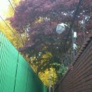 당곡고등학교 이미지