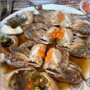 SBS 당구프로 | 홍일품에서 즐기는 홍대게장무한리필: 꽃게탕의 매력!