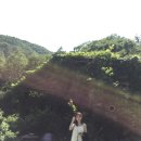 선류산장