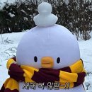 아이언 복싱짐 이미지