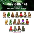 피오케이