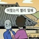 정가네 보쌈 네이버블로그