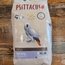 하이 에너지 이미지