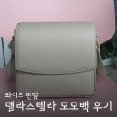델라스텔라 | 델라스텔라 모모백 후기 (와디즈 펀딩)