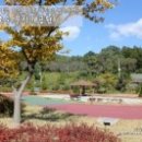 경기도 안성시 고삼면사무소 이미지