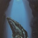 누벨백미술관 이미지