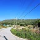 달마고도민박 이미지