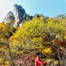 24. 11. 2.(토) 주요 헤드라인 뉴스