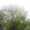 의당초등학교 이미지