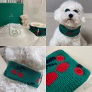 블클레르 이미지