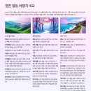 가평일상탈출하우스 | 일상의 스트레스를 날리는 여행법과 최신 힐링 여행지 추천