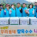 남면옥수수 이미지