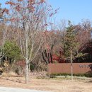 추모공원(1봉안당) | 서울근교봉안당 마음이 편안했던 광릉더크레스트 방문상담후기