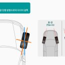 라이온모터스