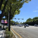 성남대로 이미지