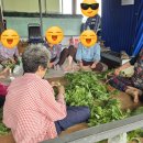 성기1구 경로당 이미지