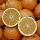 형제청과 이미지