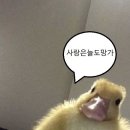 멍구야 놀자 | 갑자기 겨울 -1-