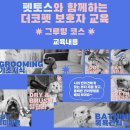 원 그루밍 | 분당 애견미용학원 더코펫 보호자 그루밍 원데이클래스 후기