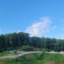 참다운요양병원 이미지