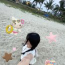 롯데슈퍼 진주신안점 | 5일차⋰˚☆&gt; 호이안 코코넛배ㅣ판다누스스파ㅣ다낭 롯데마트ㅣ페닌술라호텔ㅣ미케비치ㅣ안토이ㅣ다낭...
