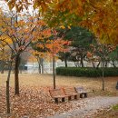 학운공원 이미지