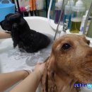 마린동물병원 이미지