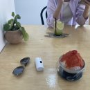 티르르 이미지