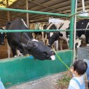 후사랑밀크(환희목장) 이미지