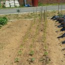 천왕농장 이미지