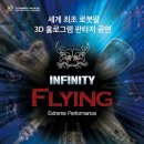 인피니티 플라잉 이미지